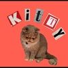 kitt33y